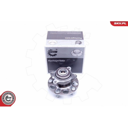 ESEN SKV Radlagersatz
