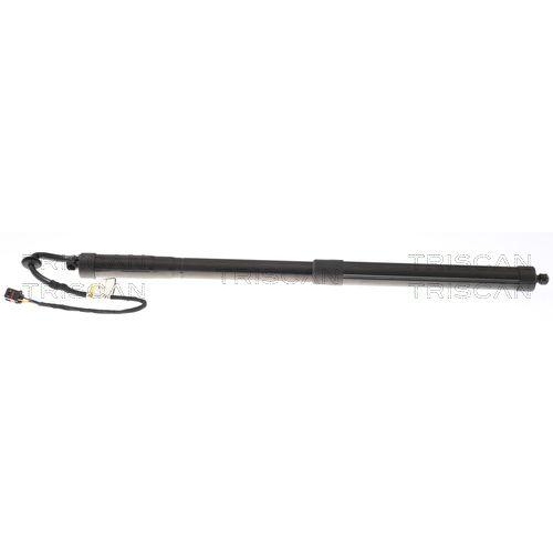 TRISCAN Gasfeder, Koffer-/Laderaum