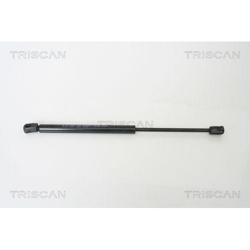 TRISCAN Gasfeder, Koffer-/Laderaum