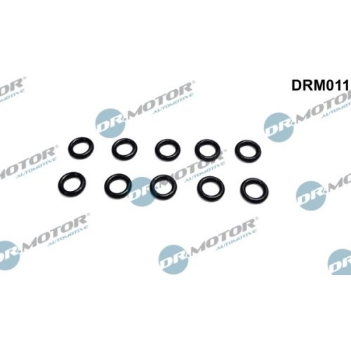 Dr.Motor Automotive Dichtring, Düsenhalter