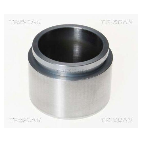 TRISCAN Kolben, Bremssattel