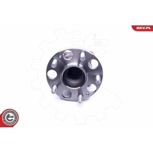 ESEN SKV Radlagersatz