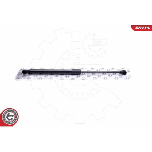 ESEN SKV Gasfeder, Koffer-/Laderaum