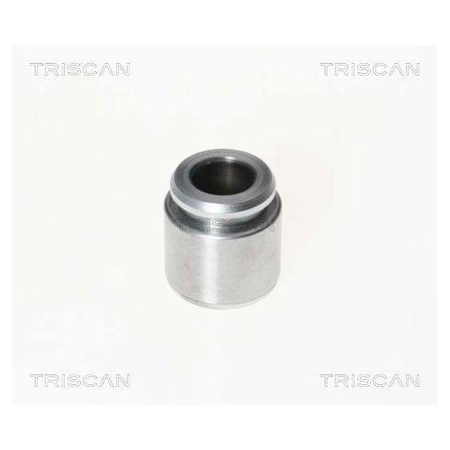 TRISCAN Kolben, Bremssattel