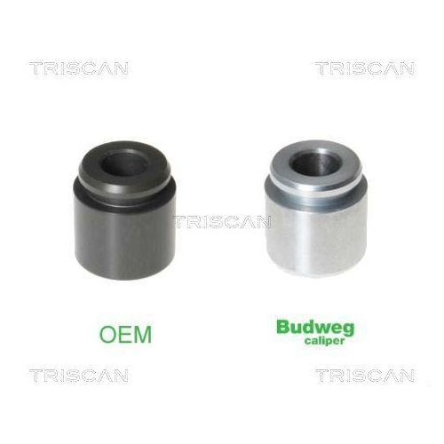 TRISCAN Kolben, Bremssattel