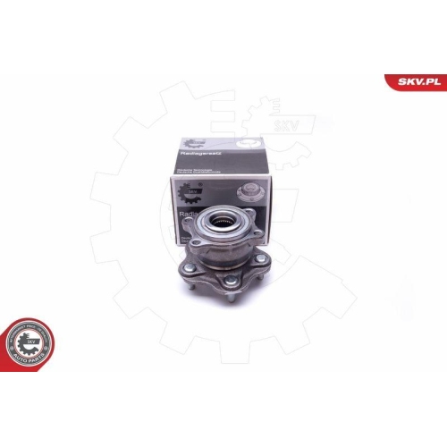 ESEN SKV Radlagersatz