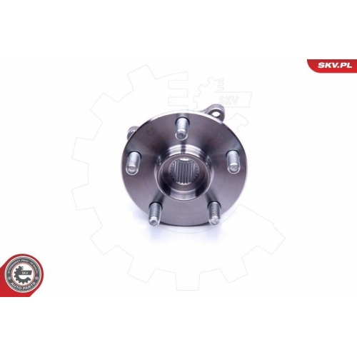 ESEN SKV Radlagersatz