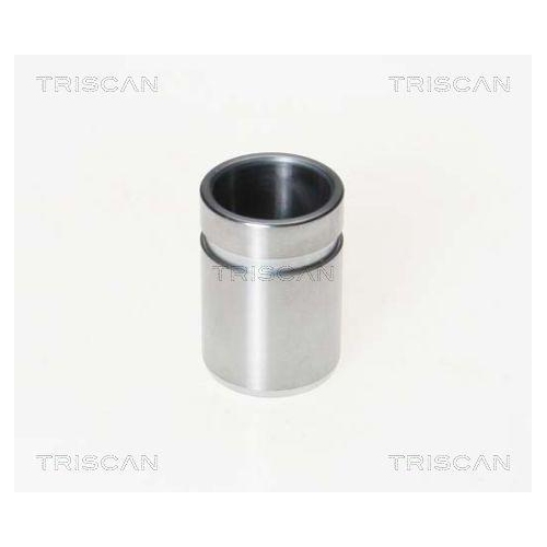 TRISCAN Kolben, Bremssattel