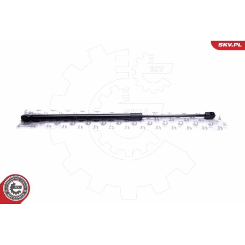 ESEN SKV Gasfeder, Koffer-/Laderaum