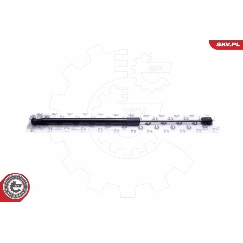 ESEN SKV Gasfeder, Koffer-/Laderaum