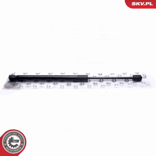 ESEN SKV Gasfeder, Koffer-/Laderaum