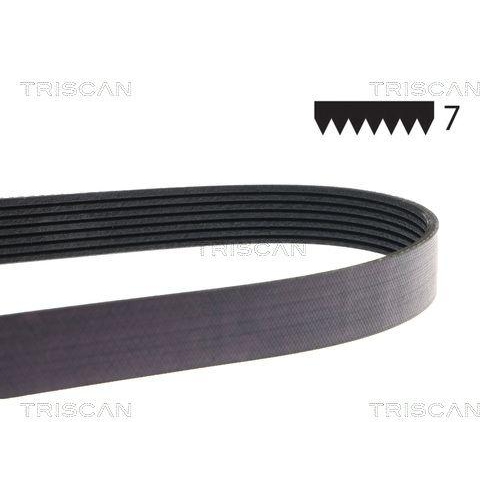 TRISCAN Keilrippenriemen
