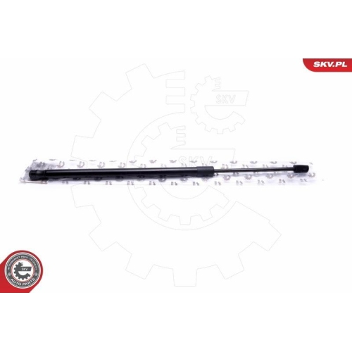 ESEN SKV Gasfeder, Koffer-/Laderaum