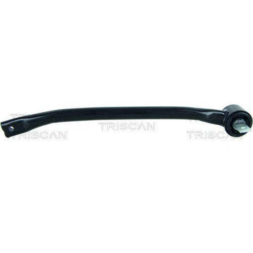 TRISCAN Lenker, Radaufhängung