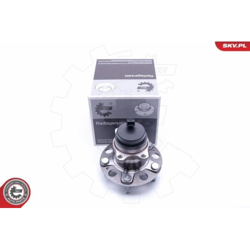 ESEN SKV Radlagersatz