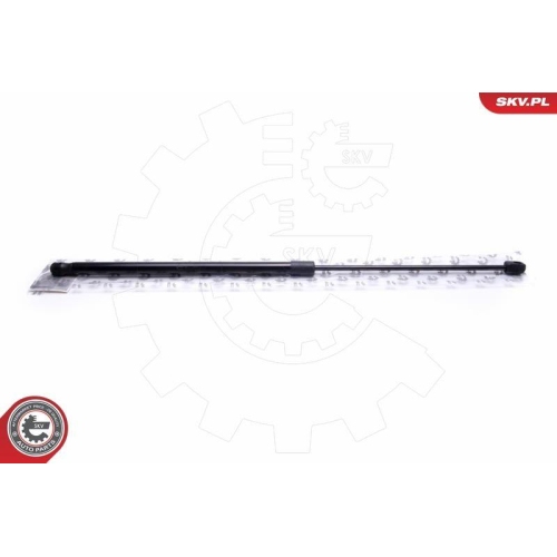 ESEN SKV Gasfeder, Koffer-/Laderaum