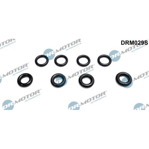 Dr.Motor Automotive Dichtring, Einspritzventil