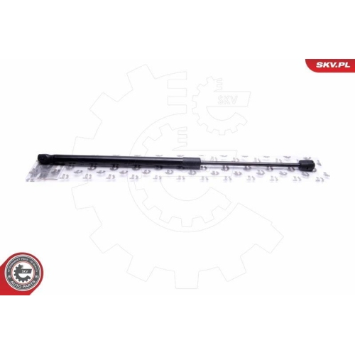 ESEN SKV Gasfeder, Koffer-/Laderaum