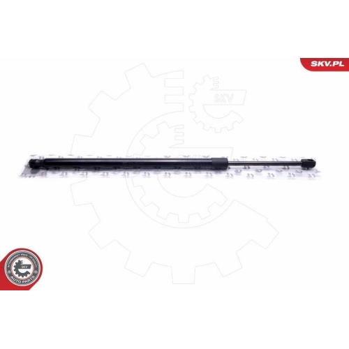 ESEN SKV Gasfeder, Koffer-/Laderaum