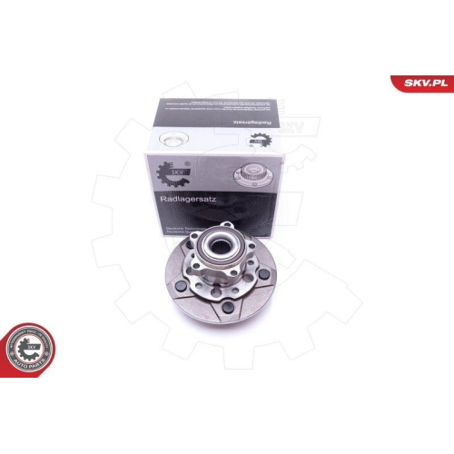 ESEN SKV Radlagersatz