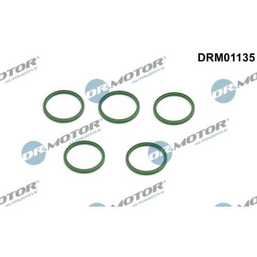 Dr.Motor Automotive Dichtring, Ladeluftschlauch