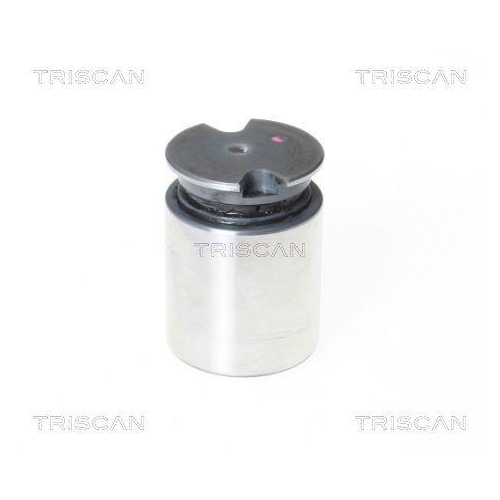 TRISCAN Kolben, Bremssattel