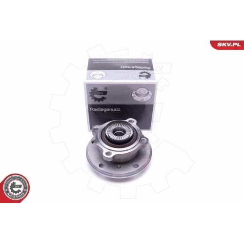 ESEN SKV Radlagersatz