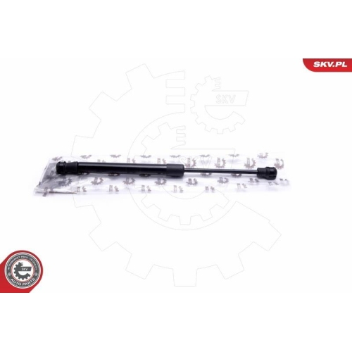 ESEN SKV Gasfeder, Koffer-/Laderaum