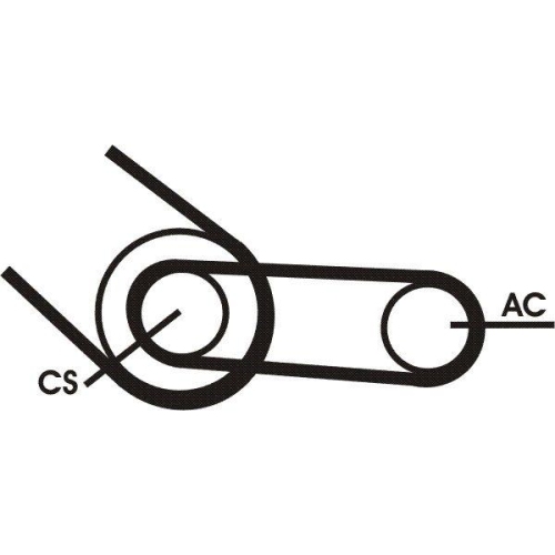 CONTINENTAL CTAM Keilrippenriemensatz