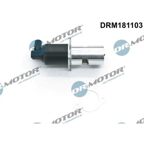 Dr.Motor Automotive AGR-Ventil