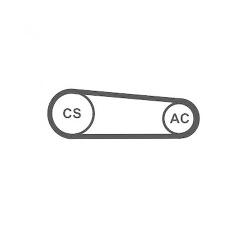 CONTINENTAL CTAM Keilrippenriemensatz