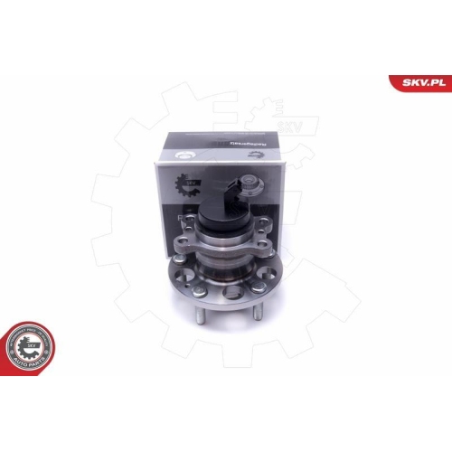 ESEN SKV Radlagersatz