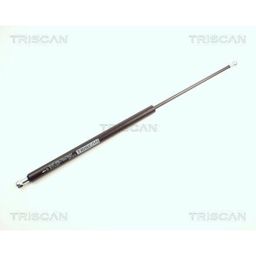 TRISCAN Gasfeder, Koffer-/Laderaum