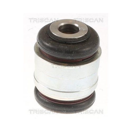 TRISCAN Lagerung, Lenker