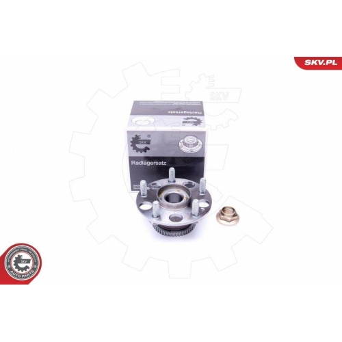 ESEN SKV Radlagersatz