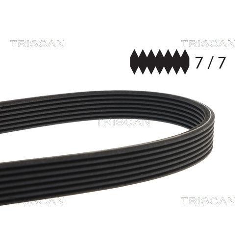 TRISCAN Keilrippenriemen