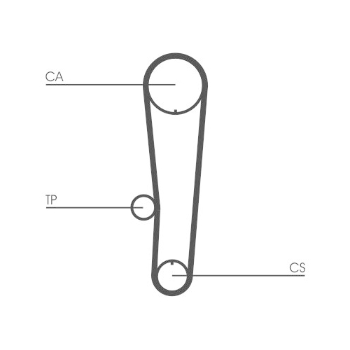 CONTINENTAL CTAM Zahnriemen