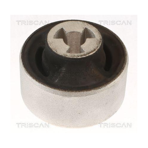 TRISCAN Lagerung, Lenker