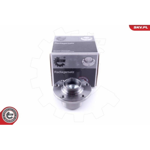 ESEN SKV Radlagersatz