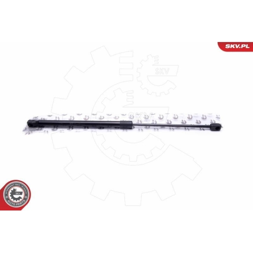 ESEN SKV Gasfeder, Koffer-/Laderaum