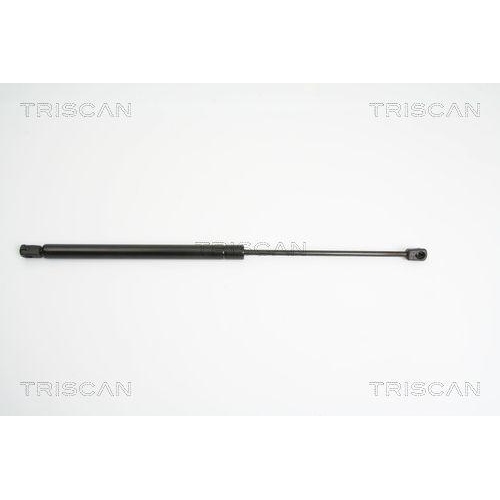 TRISCAN Gasfeder, Koffer-/Laderaum