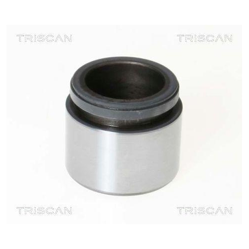 TRISCAN Kolben, Bremssattel