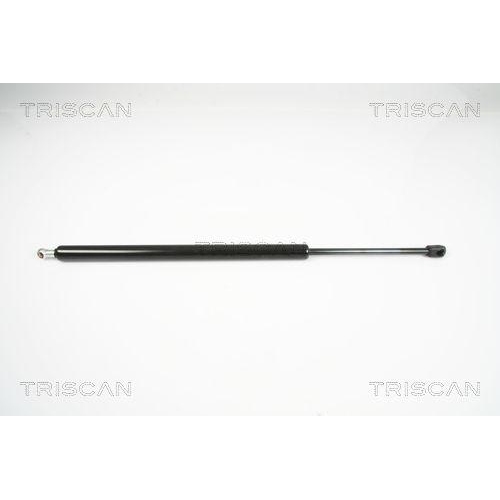 TRISCAN Gasfeder, Koffer-/Laderaum
