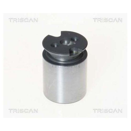 TRISCAN Kolben, Bremssattel