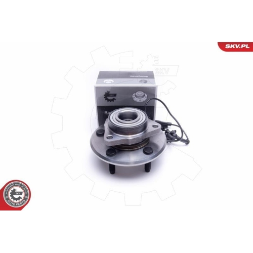 ESEN SKV Radlagersatz