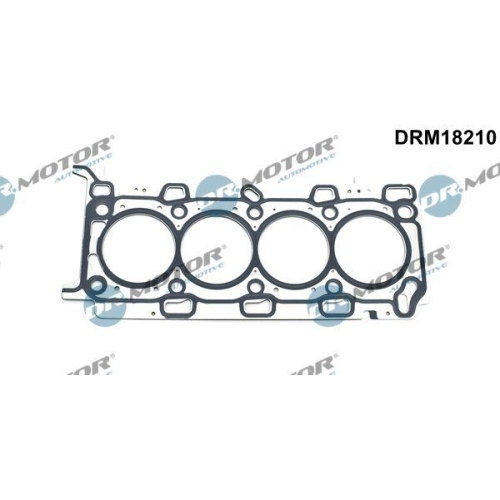 Dr.Motor Automotive Dichtung, Zylinderkopf