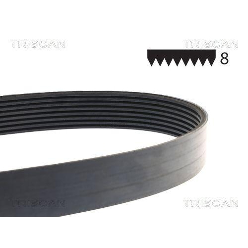 TRISCAN Keilrippenriemen