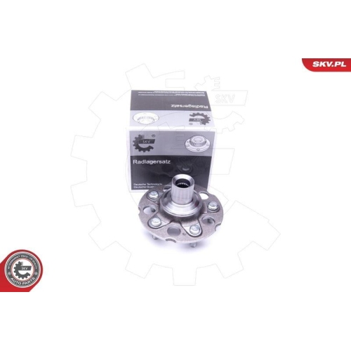 ESEN SKV Radlagersatz