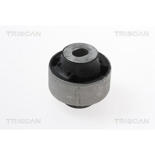 TRISCAN Lagerung, Lenker