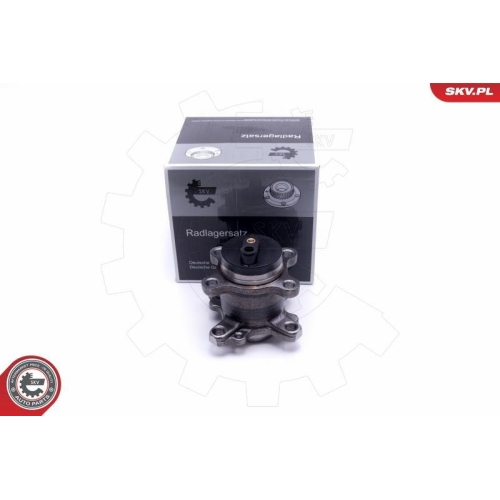 ESEN SKV Radlagersatz